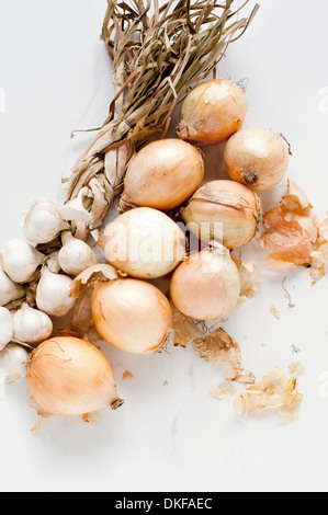 Zwiebeln und Knoblauch Stockfoto