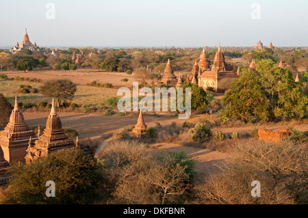 Ananda Pagoda und rotem Backstein Tempel inmitten der staubigen Ebenen von Bagan Myanmar (Burma) bei Sonnenuntergang Stockfoto