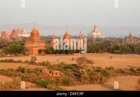 Rote Ziegel Tempel bin gelb Sonnenaufgang Licht Satz in den staubigen Ebenen von Bagan Myanmar (Burma) Stockfoto