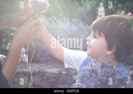 Porträt der Mutter und Kleinkind Sohn duftenden Lavendel Stockfoto