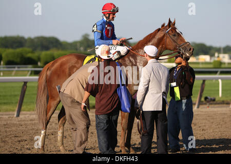 6. Juni 2009 - Elmont, New York, USA - Besitzer mit #4 SUMMER BIRD von KENT DESORMEAUX nach dem Gewinn der 141. laufen die Belmont Stakes in Belmont Park, NY Elmont geritten.  (Kredit-Bild: © Anthony Gruppuso/Southcreek Global/ZUMA Press) Stockfoto