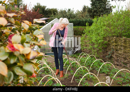 Reife Frau arbeiten im Gemüsegarten Stockfoto