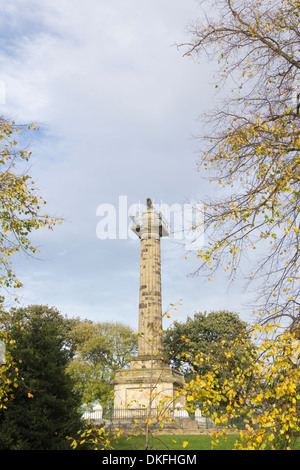 Die Mieterschaft Spalte oder Landwirte Torheit in Alnwick, Northumberland, erbaut 1816 in Gedenken an den zweiten Herzogs von Northumberland. Stockfoto