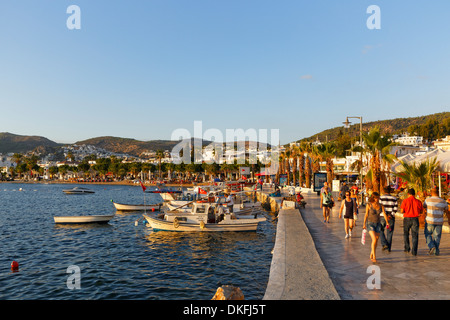 Angelboote/Fischerboote in Kumbahce Bay, Bodrum, Provinz Muğla, Ägäis, Türkei Stockfoto