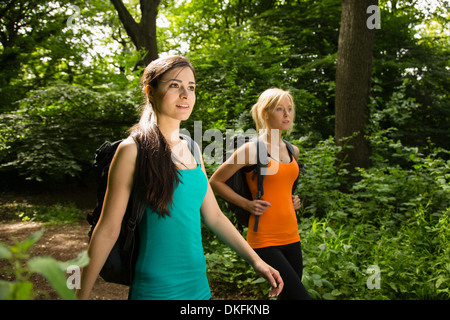 Frauen beim Spaziergang im Wald Stockfoto