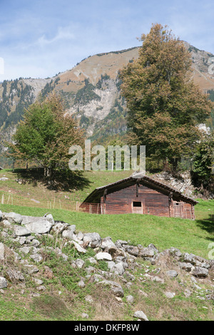 Freilichtmuseum Ballenberg, Berner Oberland, Kanton Bern, Schweiz Stockfoto