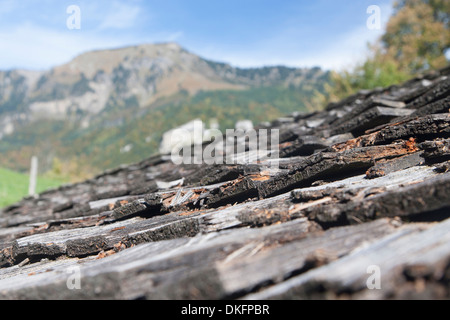 alte hölzerne Dachschindeln, Freilichtmuseum Ballenberg, Berner Oberland, Kanton Bern, Schweiz Stockfoto