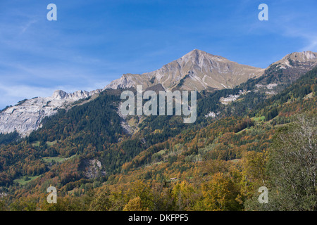 herbstliche Landschaft im Berner Oberland, Kanton Bern, Schweiz Stockfoto