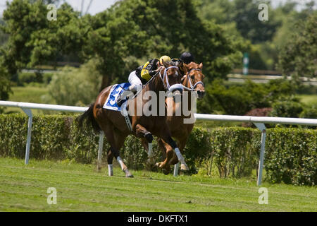 12. Juli 2009 - Fort Erie, Ontario, Kanada - Stewart Elliott3) und tanzen Allstar (6) während der Ausführung der Ernie Samuel Memorial Anteile an Fort Erie Rennstrecke.  Bent Rechtsanwalt lief weg vom Feld um das Rennen zu gewinnen. (Kredit-Bild: © Frank Jansky/Southcreek Global/ZUMA Press) Stockfoto