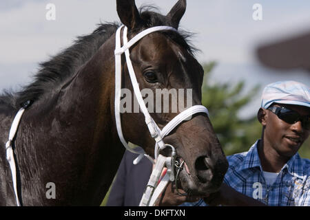 12. Juli 2009 gewann - Fort Erie, Ontario, Kanada - betrunkene Liebe geritten von Gerry Olguin laufendem Daryl Wells Sr. Memorial Stakes die Nase an der Rennstrecke von Fort Erie. (Kredit-Bild: © Frank Jansky/Southcreek Global/ZUMA Press) Stockfoto