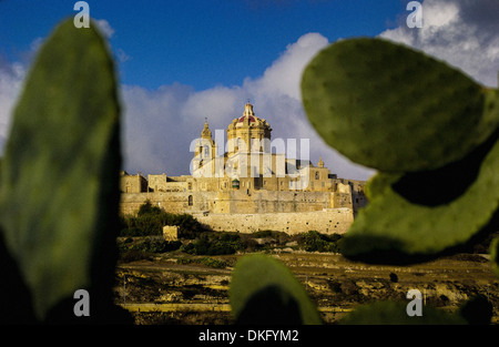 Mdina - mittelalterliche ummauerte Stadt auf einem Hügel im Zentrum von Malta, zwischen großen Kaktusblättern gesehen. Stockfoto