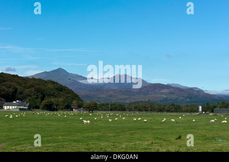 Snowdonia aus Porthmadoc Gwynedd Nordwales Uk Stockfoto