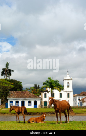 Pferde vor der Kirche Igreja Nossa Senhora Das Dores; Paraty, Espirito Santo, Brasilien. Stockfoto