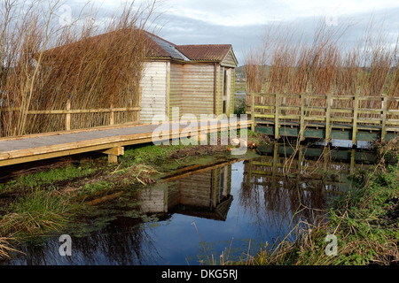 Greylake RSPB Reserve, Somerset, November 2013 Stockfoto