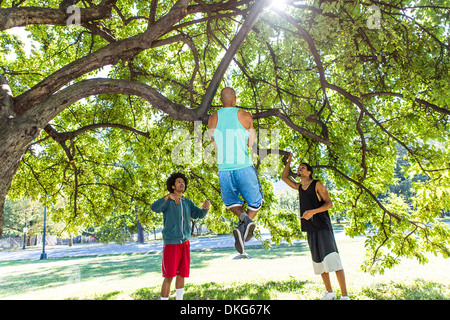 Junger Mann tun Chin ups auf Baum im Park mit Freunden Stockfoto