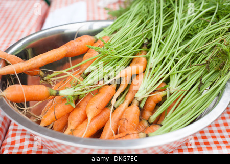 Schüssel mit frischen Karotten Stockfoto