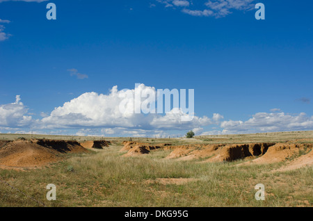 Eine historische Stück Land im nordöstlichen New Mexico ist die Website von vielen alten Wagen Spurrillen aus dem Santa Fe Trail. Stockfoto