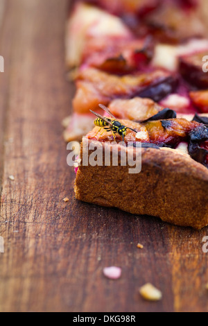 Wespe, die Krume von Pflaumenkuchen Essen Stockfoto