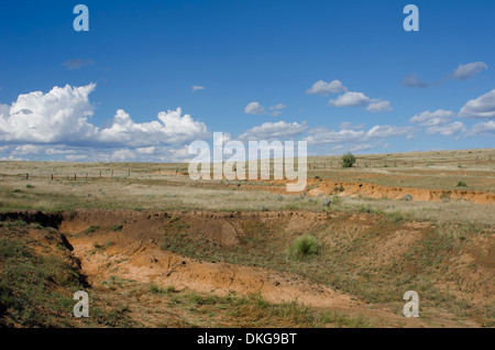 Eine historische Stück Land im nordöstlichen New Mexico ist die Website von vielen alten Wagen Spurrillen aus dem Santa Fe Trail. Stockfoto