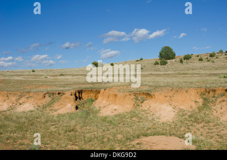 Eine historische Stück Land im nordöstlichen New Mexico ist die Website von vielen alten Wagen Spurrillen aus dem Santa Fe Trail. Stockfoto