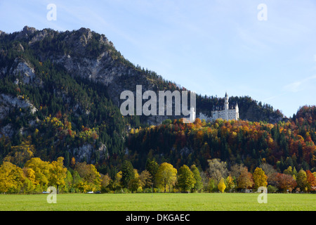 Schloss Neuschwanstein, Schwangau-Hohenschwangau, in der Nähe von Füssen, Landkreis Ostallgäu, Allgäu, Bayern, Deutschland Stockfoto