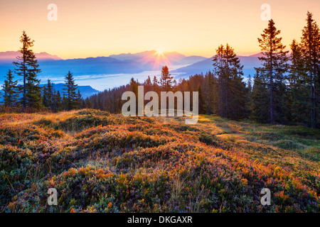 Sonnenaufgang am Hochkönig, Salzburger Land, Österreich Stockfoto