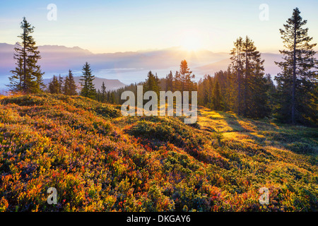 Sonnenaufgang am Hochkönig, Salzburger Land, Österreich Stockfoto
