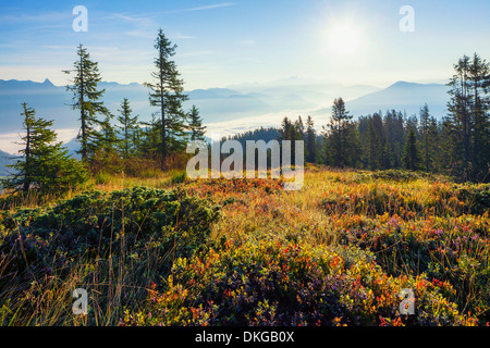 Sonnenaufgang am Hochkönig, Salzburger Land, Österreich Stockfoto