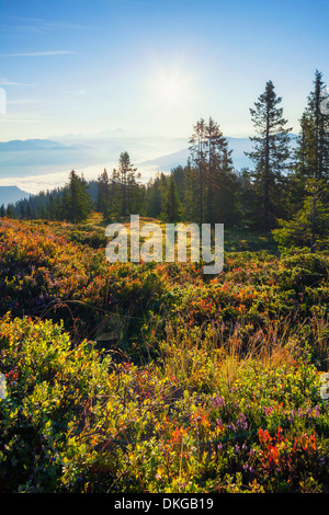 Sonnenaufgang am Hochkönig, Salzburger Land, Österreich Stockfoto
