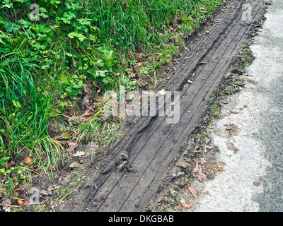 Fahrzeug Reifen Wirtschaftswege in schlammigen am Straßenrand Patch - Frankreich. Stockfoto