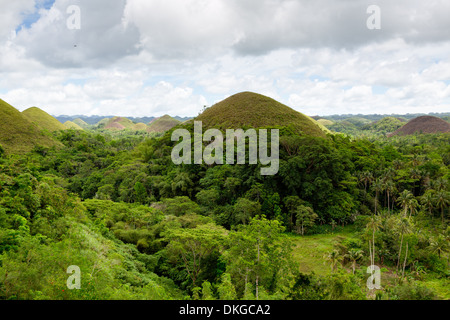 Chocolate Hills auf Bohol, Philippinen Stockfoto