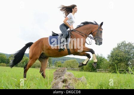 Teenager-Mädchen springen mit einem Mecklenburger Pferd auf einer Koppel Stockfoto