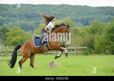 Teenager-Mädchen springen mit einem Mecklenburger Pferd auf einer Koppel Stockfoto