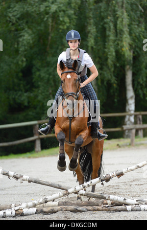 Teenager-Mädchen mit einem Mecklenburger Pferd springen, auf einem Reitplatz Stockfoto