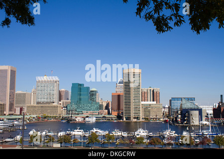Skyline von Baltimore Stadt Innenstadt mit dem Innenhafen und Yacht Becken. Stockfoto