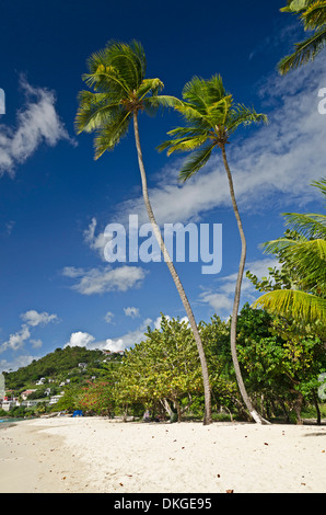 Grand Anse Beach, Grenada, Windward-Inseln, kleine Antillen, Antillen, Karibik, Amerika Stockfoto