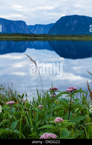 Die Klippen von Western Brook Pond und Dämmerung Wolken reflektiert in einem Teich im Gros Morne Nationalpark in Neufundland Stockfoto