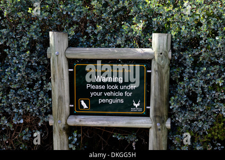 Warnschild Erinnerung daran zu erinnern, dass Touristen Menschen Pinguine Felsbrocken Tafelberg Nationalpark unter Auto am Strand Stockfoto