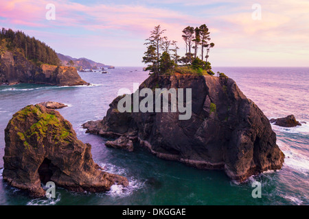 Kliffküste in Samuel H Boardman State Park, Oregon, USA Stockfoto