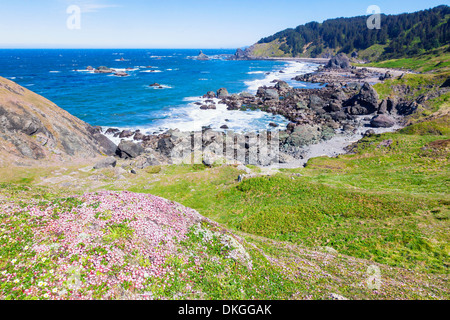 Kliffküste in Samuel H Boardman State Park, Oregon, USA Stockfoto