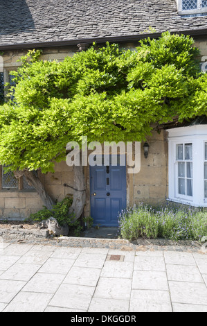 Ferienhaus bedeckt Glyzinie im malerischen Dorf Broadway, Cotswold, Worcestershire, England Stockfoto