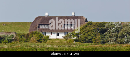 Strohdach Haus am Deich, die Insel Pellworm, Deutschland Stockfoto