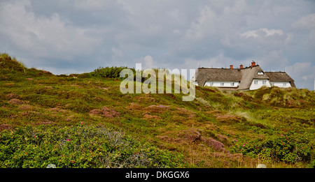 Strohdach Haus in den Dünen in der Nähe von Rantum, Sylt, Deutschland Stockfoto