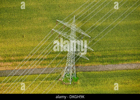 Transmission Line und Kornfeld, Kirchhofen, Baden-Württemberg, Deutschland, Luftaufnahme Stockfoto