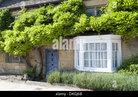 Ferienhaus bedeckt Glyzinie im malerischen Dorf Broadway, Cotswold, Worcestershire, England Stockfoto