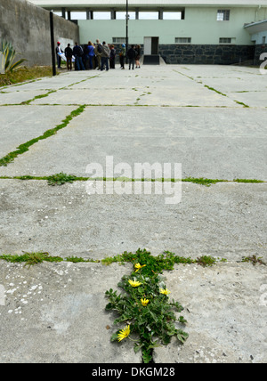 Reisegruppe in Übung Yard Robben Island Gefängnis Penitentiary maximale Sicherheit Gefängnis Kap Stadt Tourismus Stockfoto