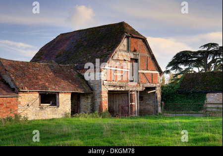 Baufälligen Hälfte abgewalmt Warwickshire Scheune, England. Stockfoto