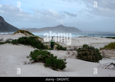 Witsands Strand und Klippen in der Nähe von Kap-Halbinsel Scarborough Strand Küste unberührten Küstendünen Düne Natur behalten sich Kapstadt Stockfoto