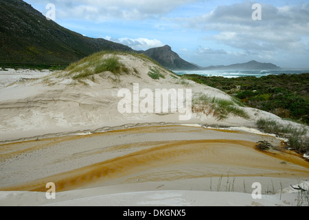 Witsands Strand und Klippen in der Nähe von Kap-Halbinsel Scarborough Strand Küste unberührten Küstendünen Düne Natur behalten sich Kapstadt Stockfoto