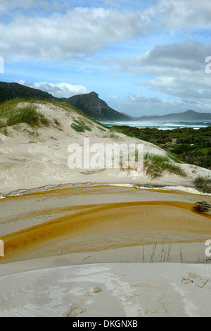 Witsands Strand und Klippen in der Nähe von Kap-Halbinsel Scarborough Strand Küste unberührten Küstendünen Düne Natur behalten sich Kapstadt Stockfoto